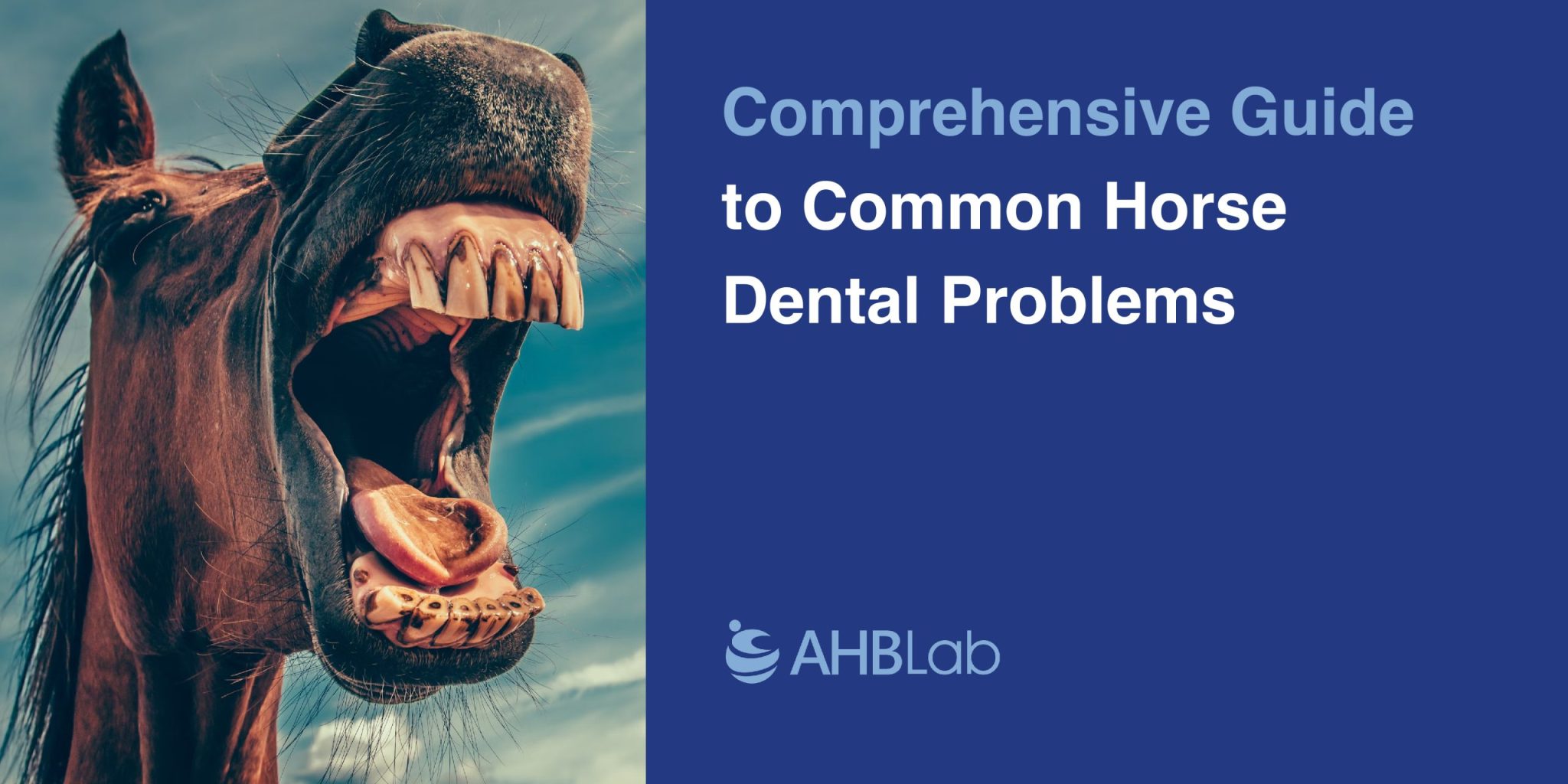 AHB-Lab_Blogs-Cover-20240816-01