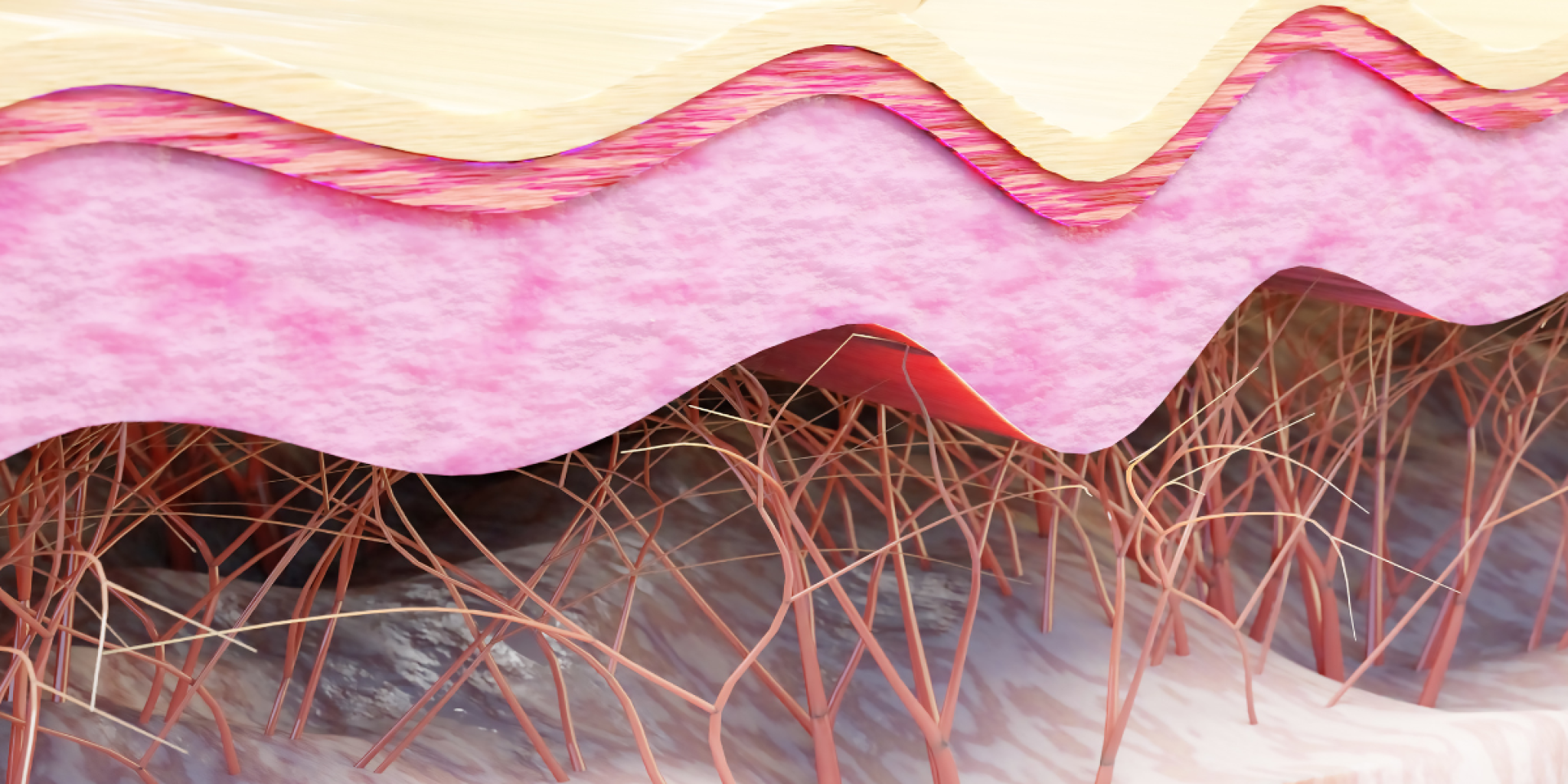 Science behind ICPPX Peptide in Collagen